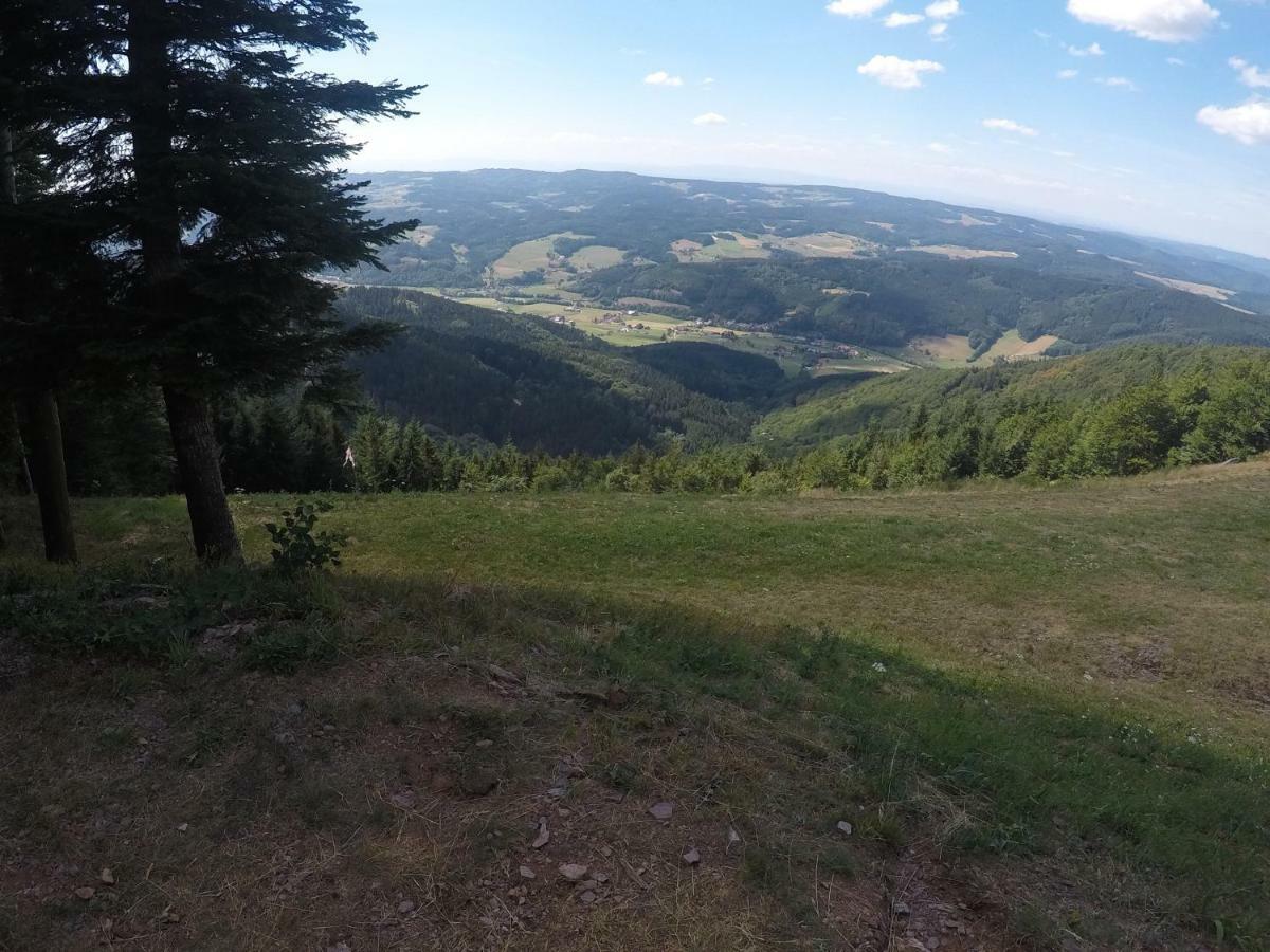 Modernes Appartement Schwarzwald Naehe Freiburg ヴィンデン・イム・エルツタール エクステリア 写真