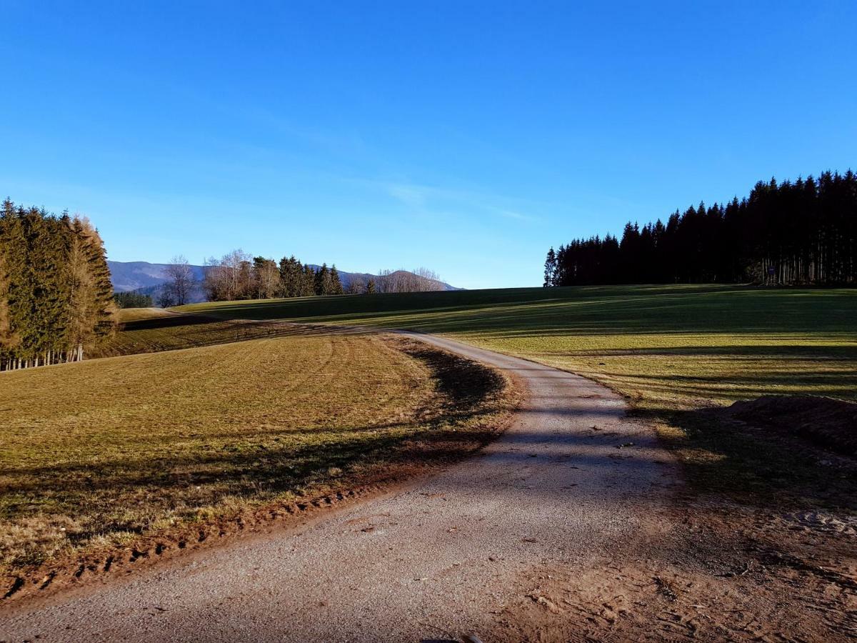 Modernes Appartement Schwarzwald Naehe Freiburg ヴィンデン・イム・エルツタール エクステリア 写真